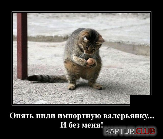 1564567848_demotivatory_14.jpg | Рено Каптур Клуб Россия | Форум KAPTUR.SU