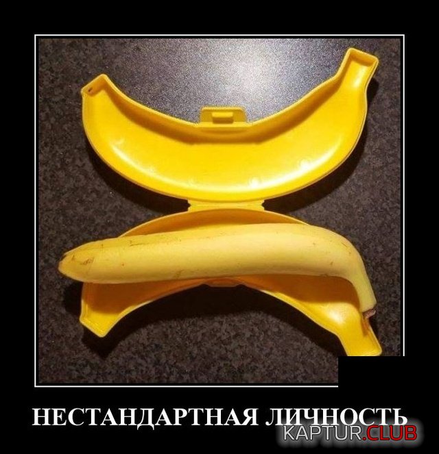 1564567856_demotivatory_23.jpg | Рено Каптур Клуб Россия | Форум KAPTUR.SU