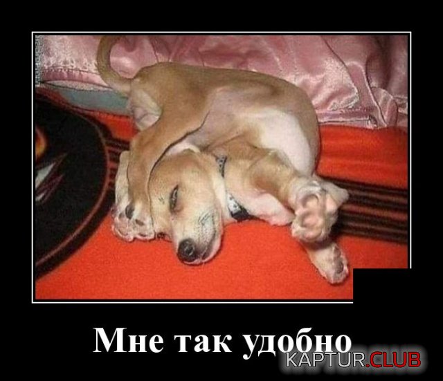 1564567875_demotivatory_09.jpg | Рено Каптур Клуб Россия | Форум KAPTUR.SU