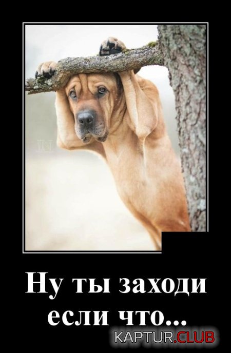 1564734023_demotivatory_12.jpg | Рено Каптур Клуб Россия | Форум KAPTUR.SU