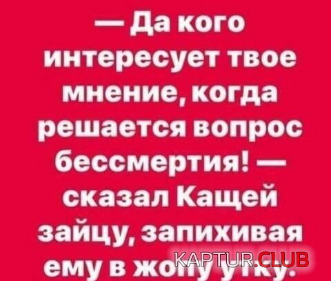 1565336481_1565328084_prik-33.jpg | Рено Каптур Клуб Россия | Форум KAPTUR.SU