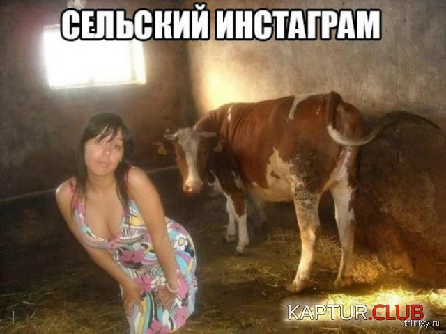 156582_4_trinixy_ru.jpg | Рено Каптур Клуб Россия | Форум KAPTUR.SU