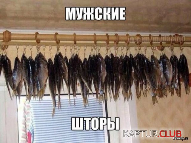 156582_5_trinixy_ru.jpg | Рено Каптур Клуб Россия | Форум KAPTUR.SU