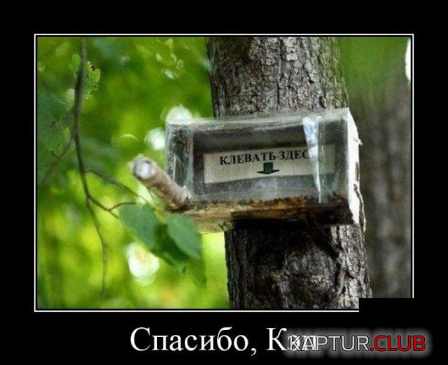 1565963623_demotivatory_05.jpg | Рено Каптур Клуб Россия | Форум KAPTUR.SU