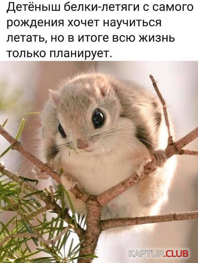 1566977305_1566917697_podb_vecher_09.jpg | Рено Каптур Клуб Россия | Форум KAPTUR.SU