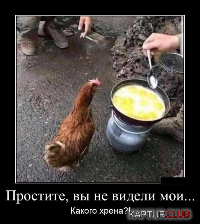 1567083346_demotivatory_07.jpg | Рено Каптур Клуб Россия | Форум KAPTUR.SU
