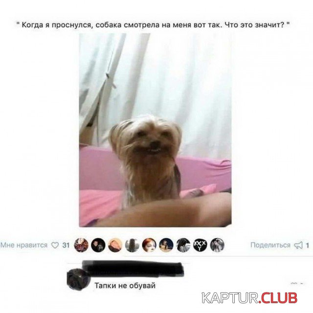 1567522350_podb_vecher_04.jpg | Рено Каптур Клуб Россия | Форум KAPTUR.SU