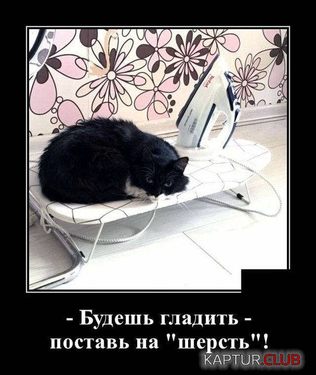 1567691163_demotivatory_01.jpg | Рено Каптур Клуб Россия | Форум KAPTUR.SU