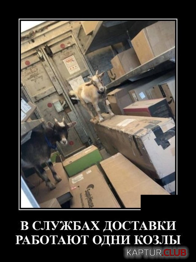 1567778415_demotivatory_07.jpg | Рено Каптур Клуб Россия | Форум KAPTUR.SU