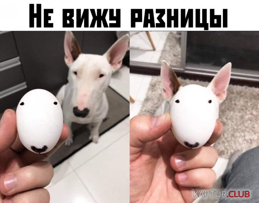 1568018002_podb_22.jpg | Рено Каптур Клуб Россия | Форум KAPTUR.SU