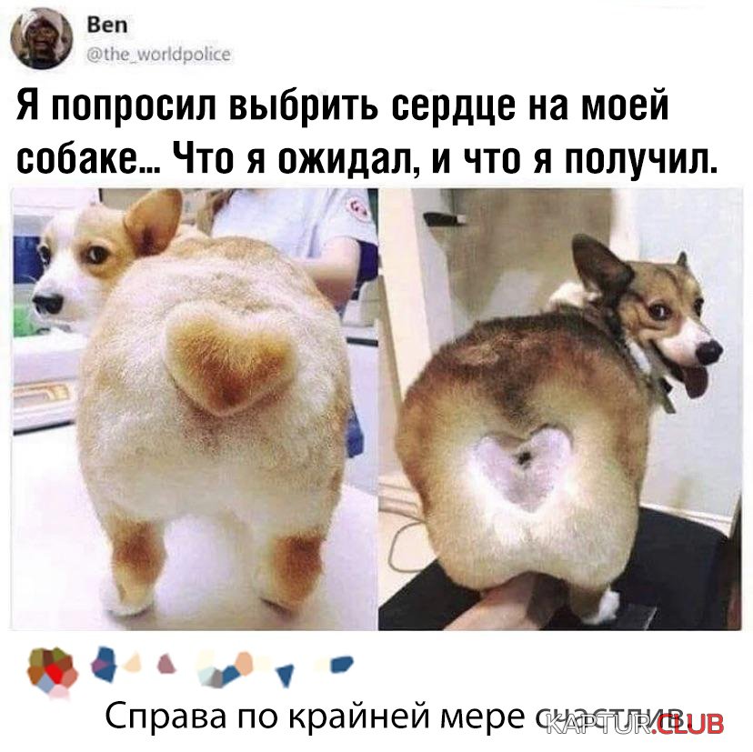 1568018006_podb_38.jpg | Рено Каптур Клуб Россия | Форум KAPTUR.SU