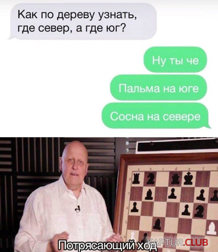 1568018009_podb_32.jpg | Рено Каптур Клуб Россия | Форум KAPTUR.SU