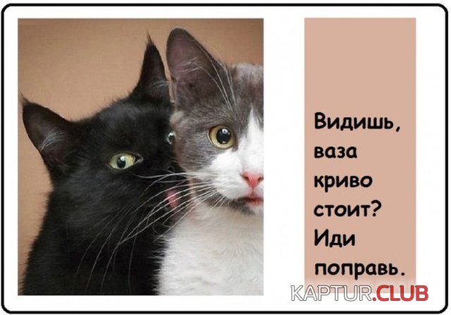 1568041134_podb_09.jpg | Рено Каптур Клуб Россия | Форум KAPTUR.SU