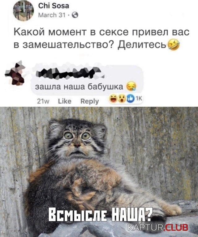 1568041206_podb_30.jpg | Рено Каптур Клуб Россия | Форум KAPTUR.SU