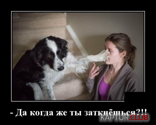 1568102661_1567778414_demotivatory_17.jpg | Рено Каптур Клуб Россия | Форум KAPTUR.SU