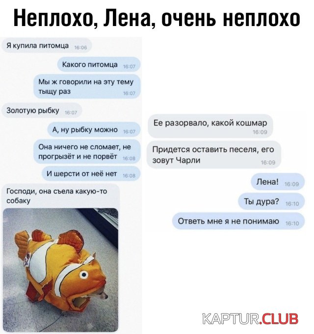 1568127971_podb_vecher_16.jpg | Рено Каптур Клуб Россия | Форум KAPTUR.SU