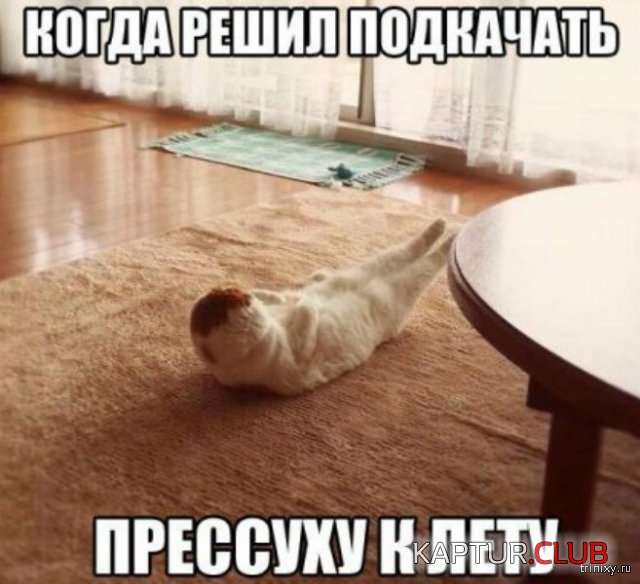 156834_10_trinixy_ru.jpg | Рено Каптур Клуб Россия | Форум KAPTUR.SU