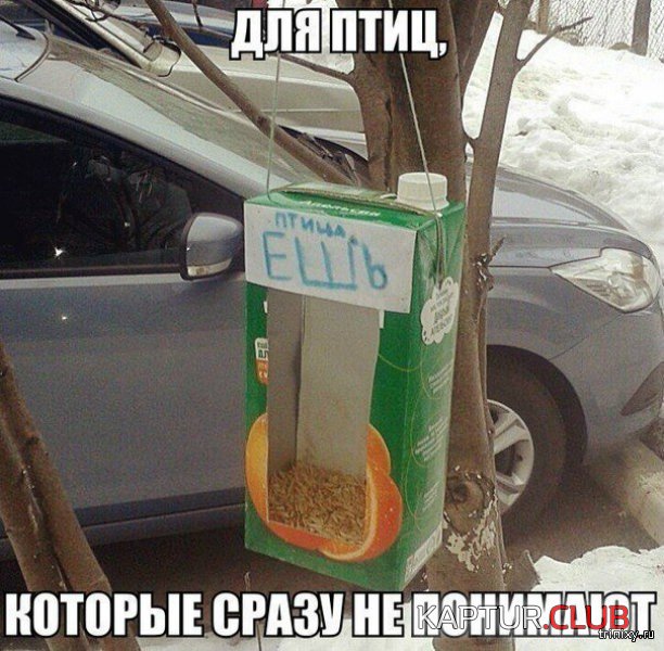 156834_19_trinixy_ru.jpg | Рено Каптур Клуб Россия | Форум KAPTUR.SU