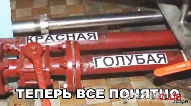 156834_28_trinixy_ru.jpg | Рено Каптур Клуб Россия | Форум KAPTUR.SU