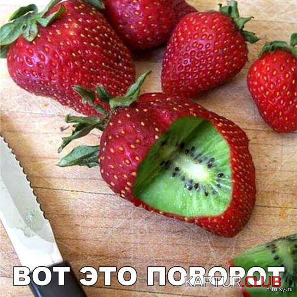 156834_3_trinixy_ru.jpg | Рено Каптур Клуб Россия | Форум KAPTUR.SU