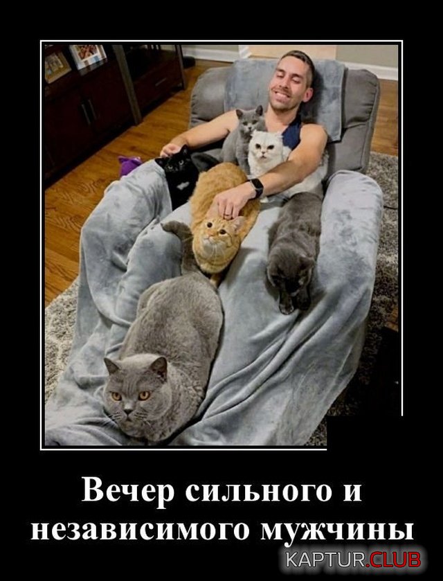 1568361948_1568212483_demotivatory_13.jpg | Рено Каптур Клуб Россия | Форум KAPTUR.SU