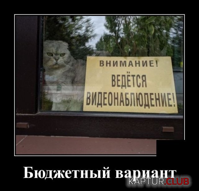1568384630_demotivatory_18.jpg | Рено Каптур Клуб Россия | Форум KAPTUR.SU