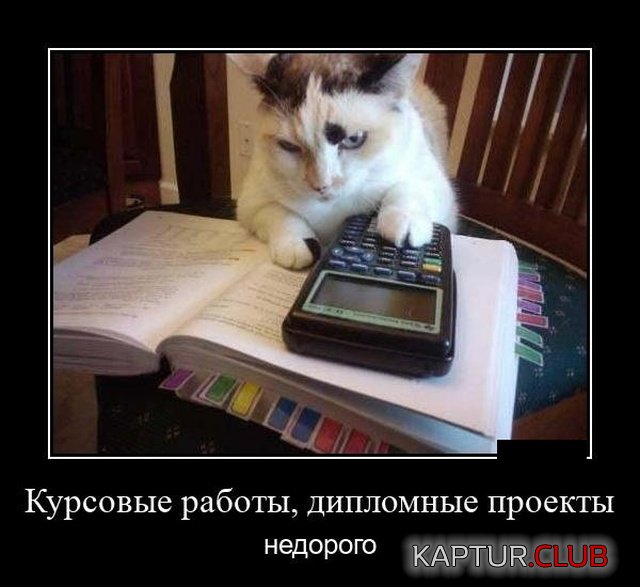 1568715574_1568384688_demotivatory_13.jpg | Рено Каптур Клуб Россия | Форум KAPTUR.SU