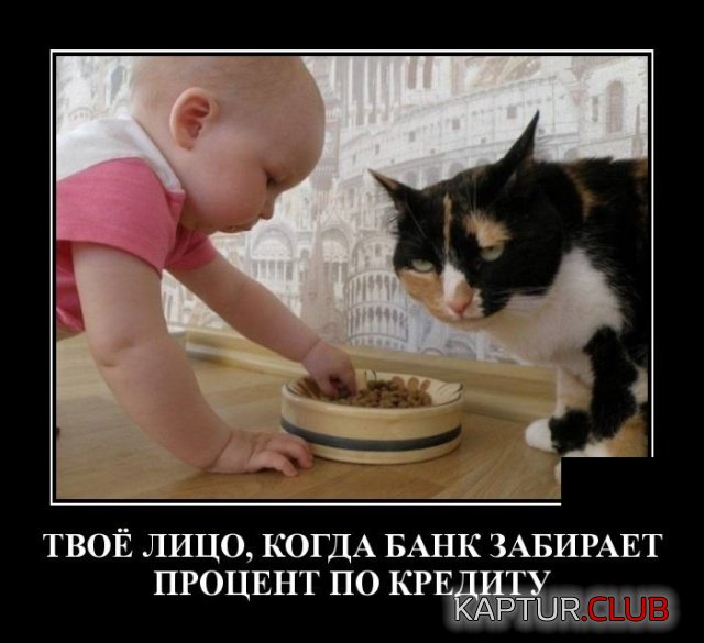 1568812023_demotivatory_10.jpg | Рено Каптур Клуб Россия | Форум KAPTUR.SU