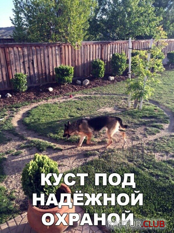 1568818775_podb_vecher_01.jpg | Рено Каптур Клуб Россия | Форум KAPTUR.SU