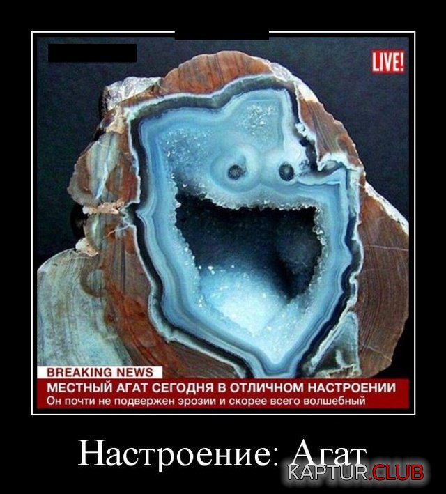 1568895660_demotivatory_03.jpg | Рено Каптур Клуб Россия | Форум KAPTUR.SU