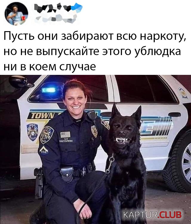1568992385_podb_vecher_16.jpg | Рено Каптур Клуб Россия | Форум KAPTUR.SU