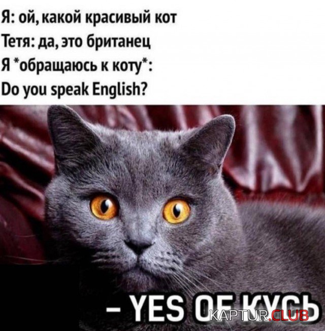 1568992393_podb_vecher_05.jpg | Рено Каптур Клуб Россия | Форум KAPTUR.SU
