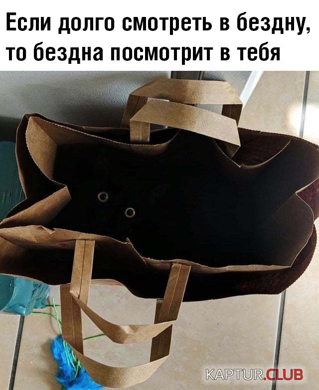 1568992406_podb_vecher_30.jpg | Рено Каптур Клуб Россия | Форум KAPTUR.SU