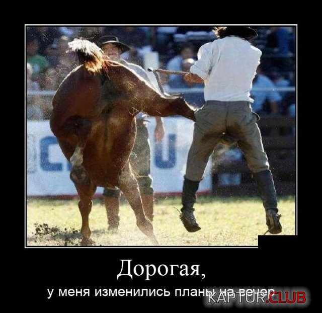 1569240309_demotivatory_07.jpg | Рено Каптур Клуб Россия | Форум KAPTUR.SU