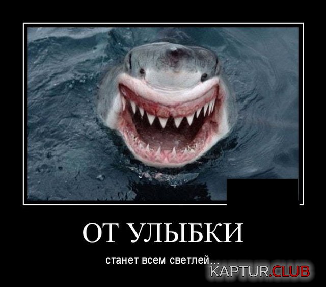 1569330605_demotivatory_15.jpg | Рено Каптур Клуб Россия | Форум KAPTUR.SU