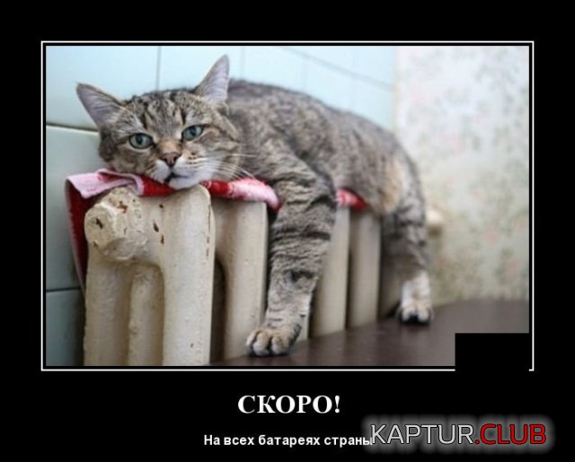 1569330653_demotivatory_08.jpg | Рено Каптур Клуб Россия | Форум KAPTUR.SU