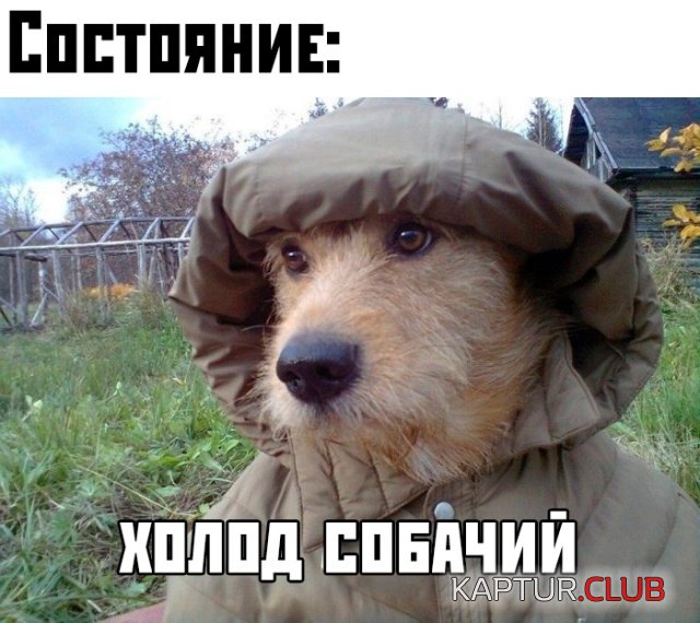 1569334889_podb_vecher_01.jpg | Рено Каптур Клуб Россия | Форум KAPTUR.SU
