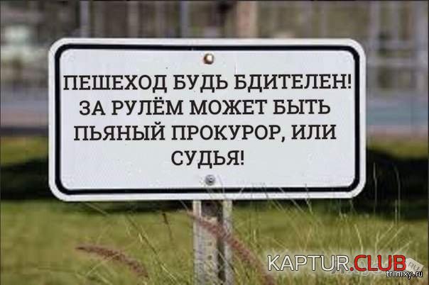 1569348514_1531636198_22455421.jpg | Рено Каптур Клуб Россия | Форум KAPTUR.SU