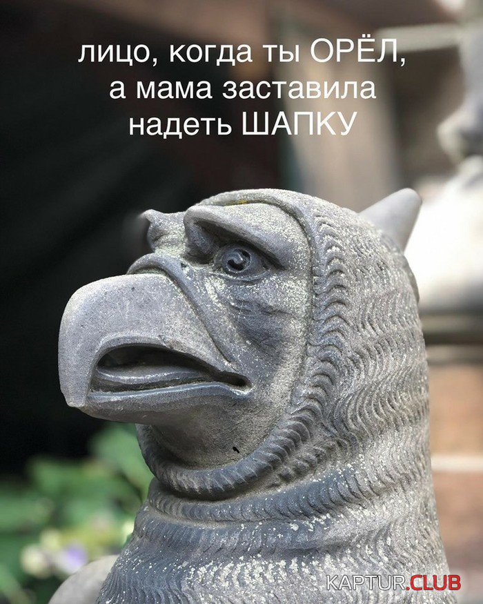 1569574499_podb_04.jpg | Рено Каптур Клуб Россия | Форум KAPTUR.SU
