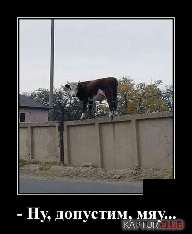 1570539307_demotivatory_09.jpg | Рено Каптур Клуб Россия | Форум KAPTUR.SU