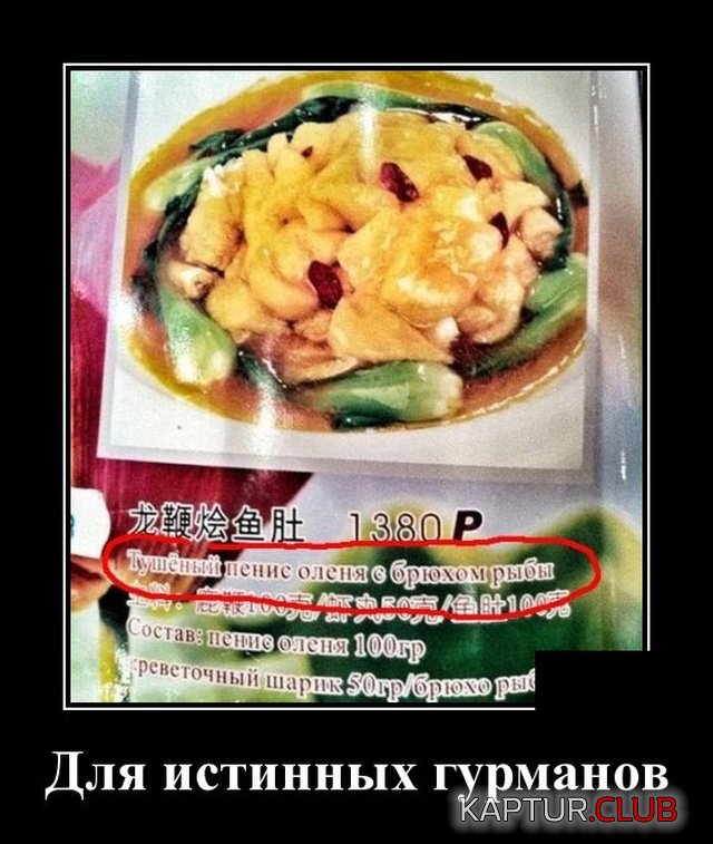 1570539365_demotivatory_05.jpg | Рено Каптур Клуб Россия | Форум KAPTUR.SU