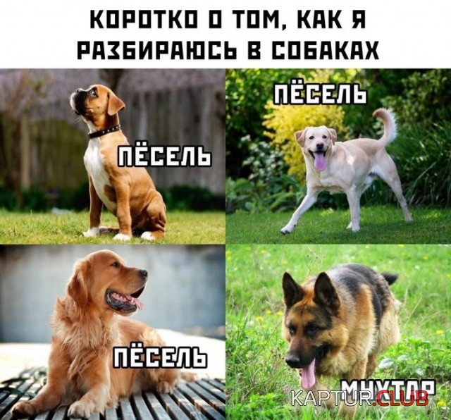 1570802949_podb_vecher_09.jpg | Рено Каптур Клуб Россия | Форум KAPTUR.SU
