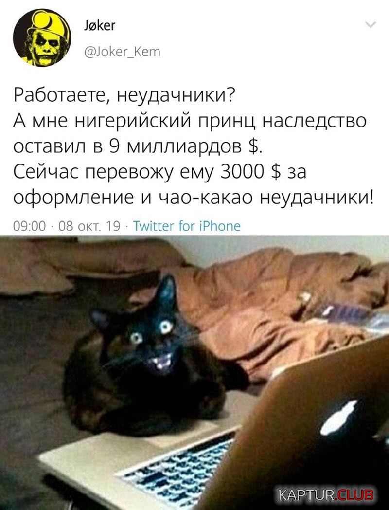 1570904732_1570631342_podb_vecher_13-800x1048.jpg | Рено Каптур Клуб Россия | Форум KAPTUR.SU