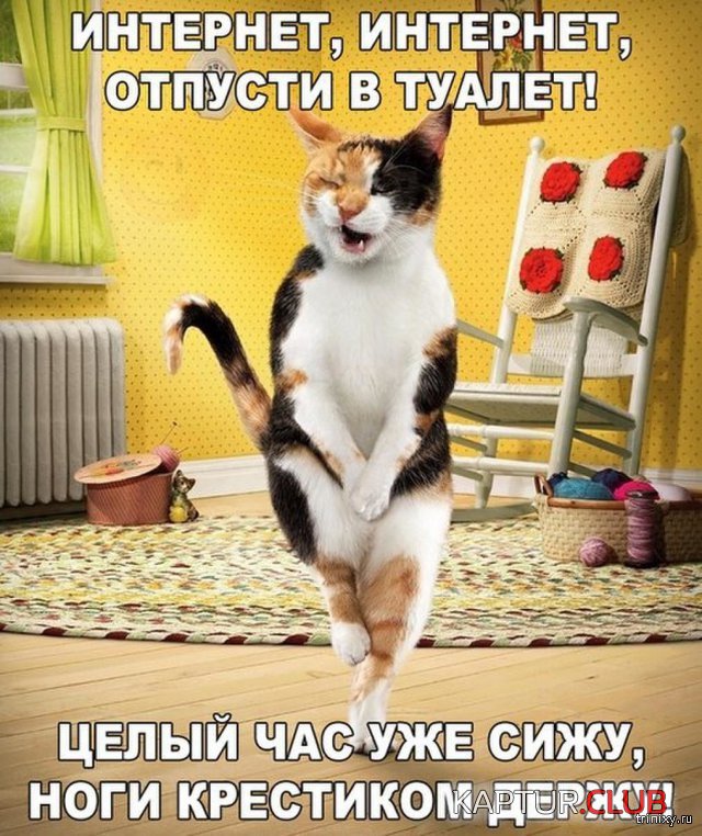 157093_27_trinixy_ru.jpg | Рено Каптур Клуб Россия | Форум KAPTUR.SU