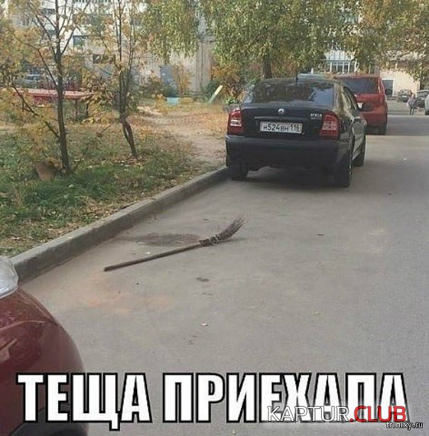 157093_6_trinixy_ru.jpg | Рено Каптур Клуб Россия | Форум KAPTUR.SU