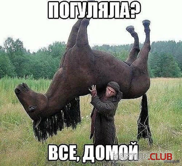 157093_7_trinixy_ru.jpg | Рено Каптур Клуб Россия | Форум KAPTUR.SU