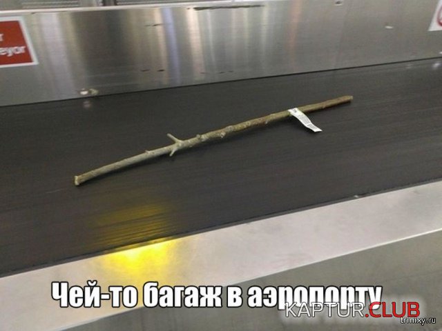 157093_8_trinixy_ru.jpg | Рено Каптур Клуб Россия | Форум KAPTUR.SU