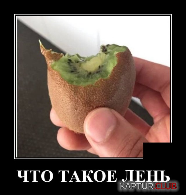 1571055081_demotivatory_17.jpg | Рено Каптур Клуб Россия | Форум KAPTUR.SU