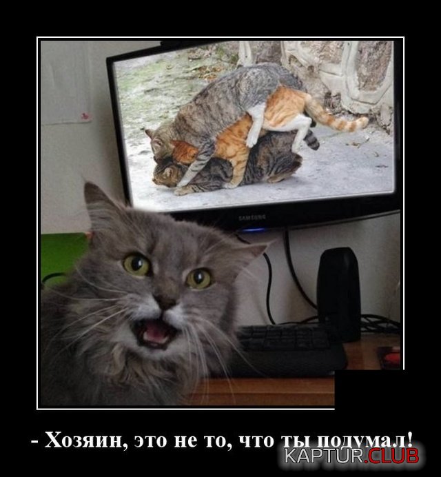 1571143839_demotivatory_09.jpg | Рено Каптур Клуб Россия | Форум KAPTUR.SU