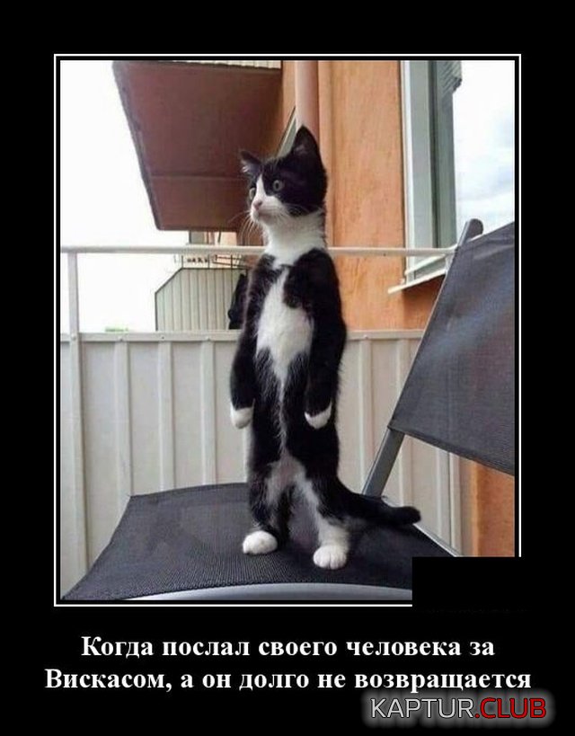 1571143904_demotivatory_07.jpg | Рено Каптур Клуб Россия | Форум KAPTUR.SU